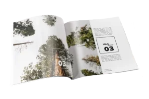 revista a color
