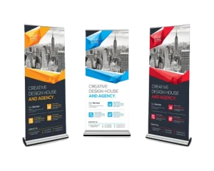 rollup para empresa