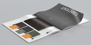 revistas